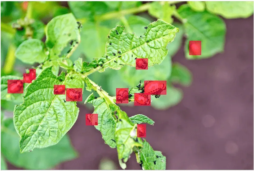 Agritech: annotated example
